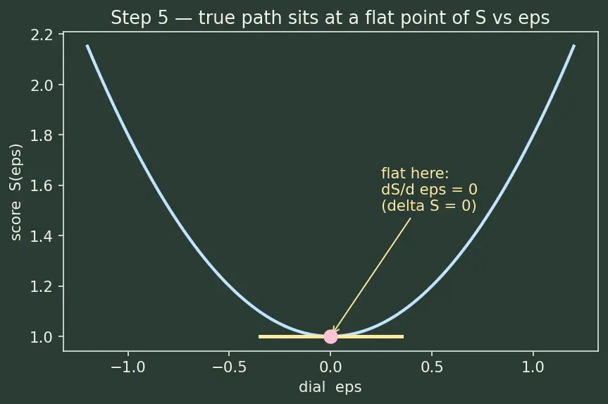 Figure — Hamilton's principle — least action