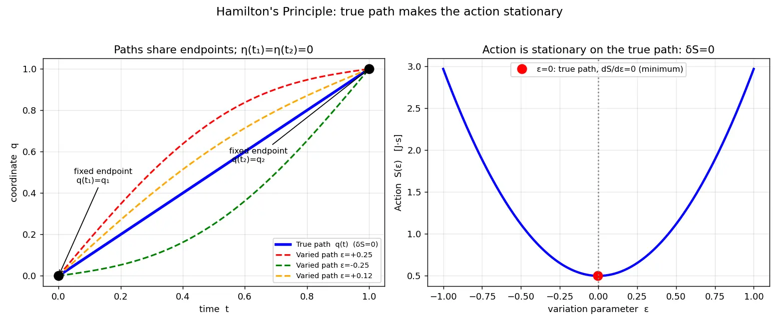 Figure — Principle of least action — Hamilton's principle derivation
