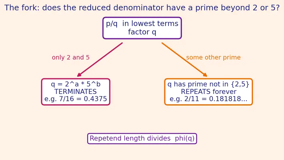 Figure — Rational numbers — definition, decimal expansion (terminating - repeating)