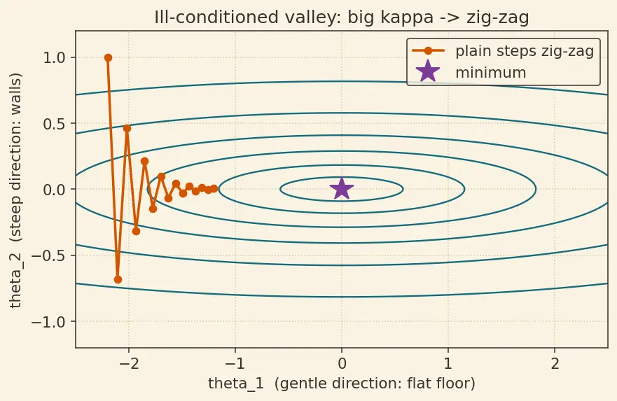 Figure — Momentum and Nesterov momentum