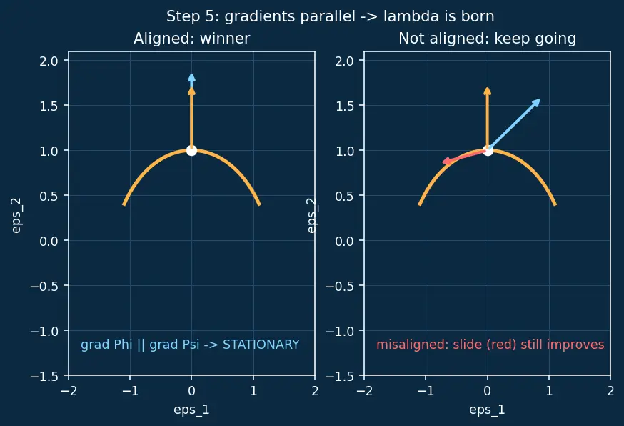 Figure — Isoperimetric problems — constraints (Lagrange multipliers in variational sense)