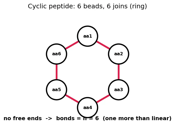 Figure — Peptide bond; primary, secondary, tertiary, quaternary protein structure