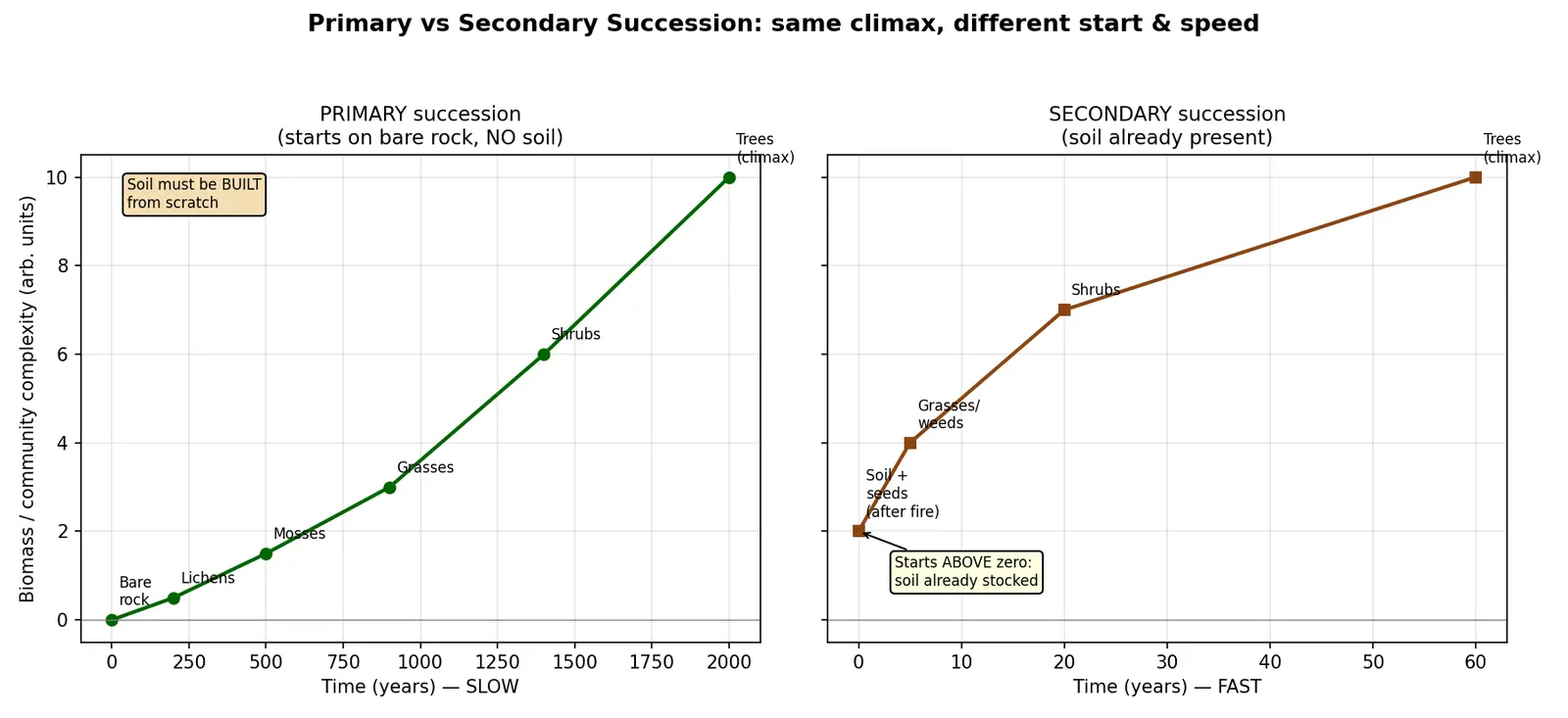 Figure — Distinguish primary and secondary succession