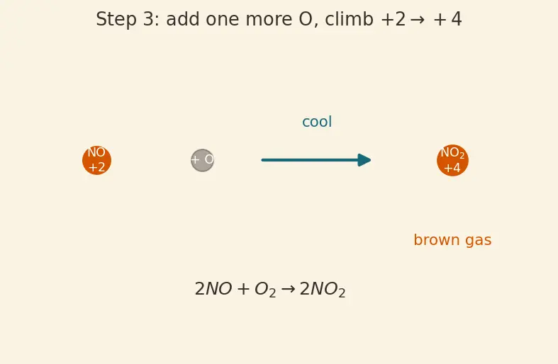 Figure — Group 15 (Nitrogen family) — N₂ inertness; NH₃ synthesis (Haber); HNO₃ (Ostwald); oxides of N (N₂O, NO, NO₂, N₂O₄, N₂O₅)