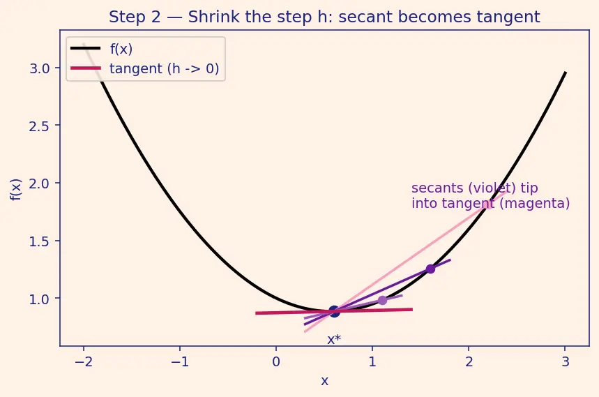 Figure — First-order optimality conditions — gradient = 0