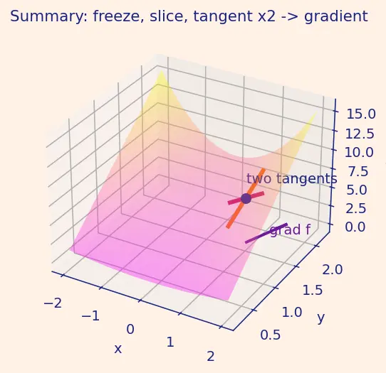 Figure — Partial derivatives