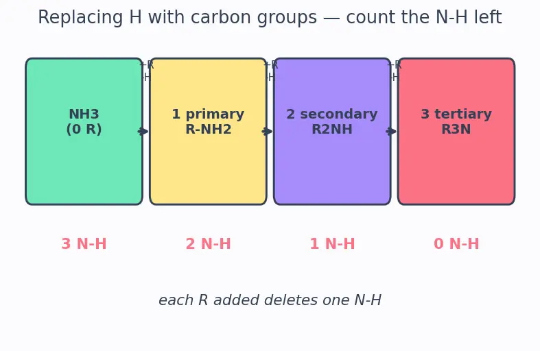 Figure — Amines — basicity (alkyl  -  NH₃  -  aryl in water; reverse in gas phase), Hofmann elimination, carbylamine, Hinsberg te