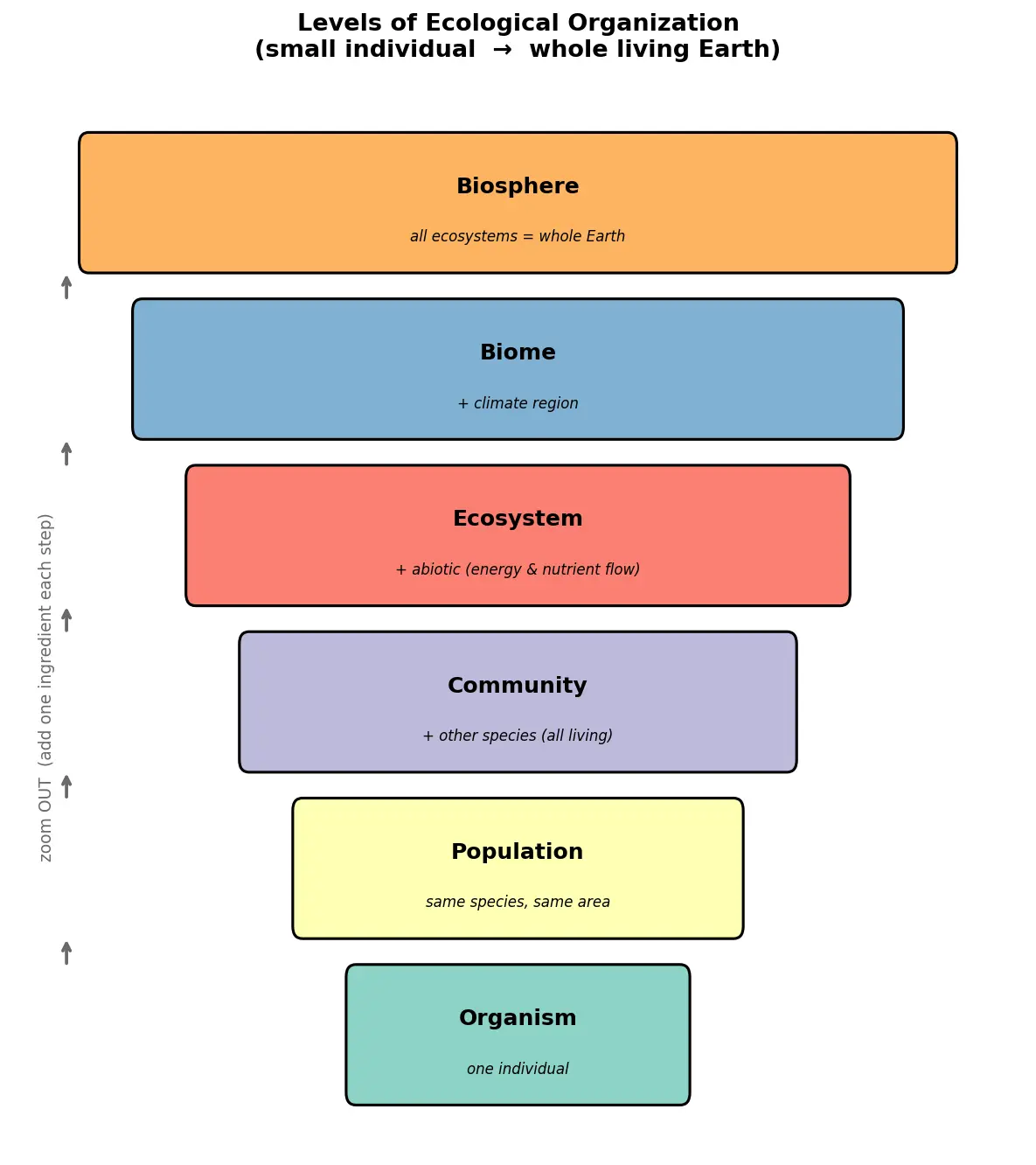 Figure — Define ecology and levels of ecological organization