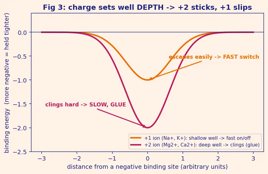 Figure — Biological importance of Na, K, Ca, Mg