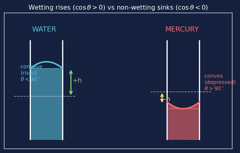 Figure — Liquid state — vapour pressure, viscosity, surface tension