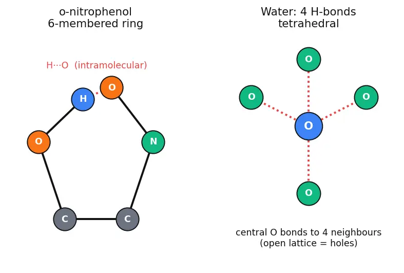Figure — Hydrogen bonding — intermolecular, intramolecular; consequences (boiling points, water density)