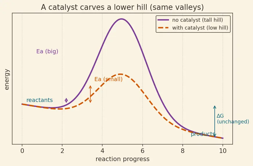 Figure — Catalytic properties — examples (V₂O₅, Fe, Ni, Pt)