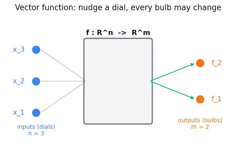Figure — The Jacobian matrix