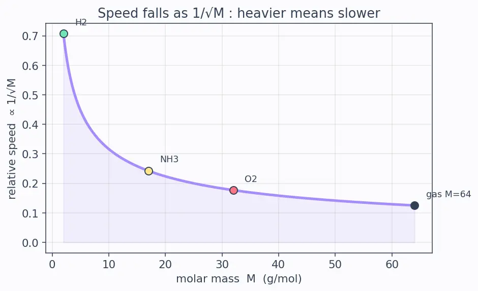 Figure — Graham's law of effusion - diffusion (rate ∝ 1 - √M)
