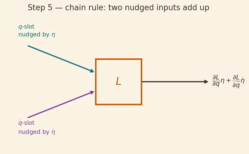 Figure — Principle of least action — Hamilton's principle derivation