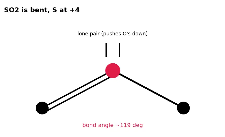 Figure — Sulfur — allotropes (rhombic, monoclinic); SO₂, SO₃; H₂SO₄ (Contact process); oxoacids of S
