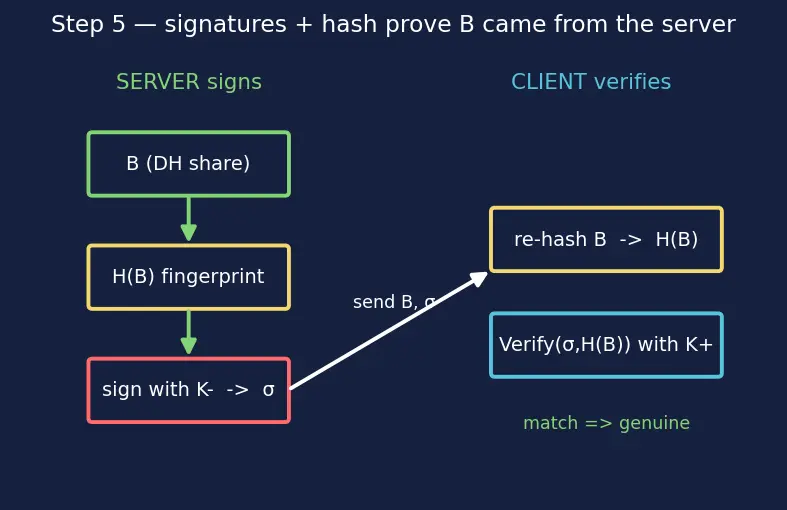 Figure — HTTPS — TLS handshake, certificates, CA