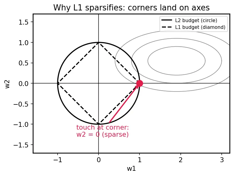 Figure — Regularization — L1 (lasso), L2 (ridge), dropout