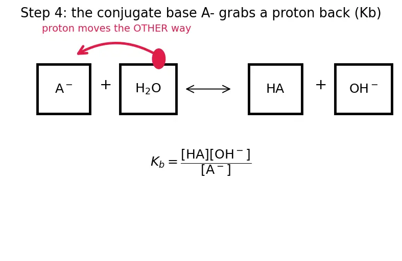 Figure — Conjugate acid-base pairs