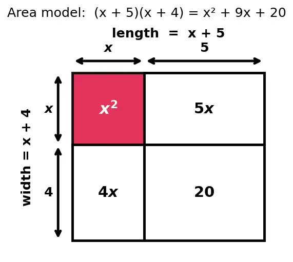 Figure — Multiplication of algebraic expressions — monomial × polynomial, polynomial × polynomial