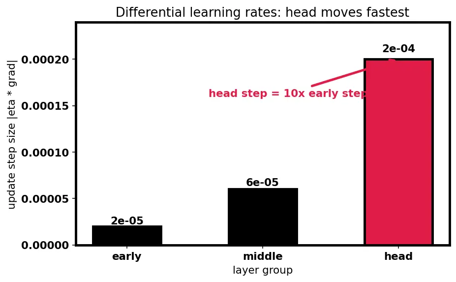 Figure — Transfer learning and fine-tuning