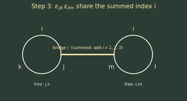 Figure — Einstein summation convention