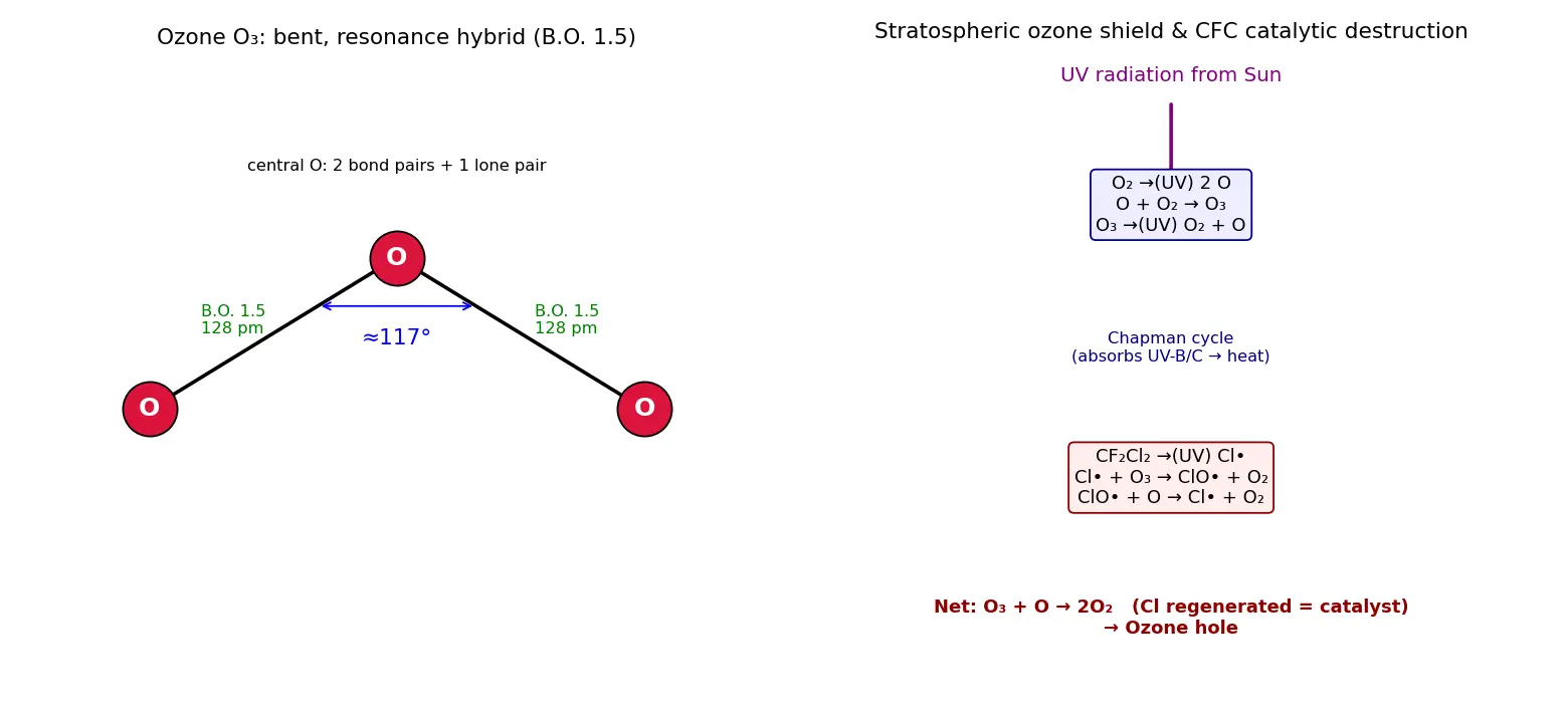 Figure — Group 16 (Oxygen family) — allotropes of O (O₂, O₃); ozone chemistry, ozone layer
