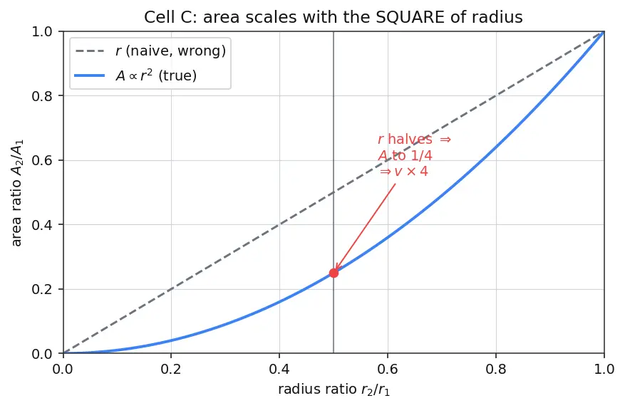 Figure — Continuity equation — derivation (conservation of mass), ρAv = const