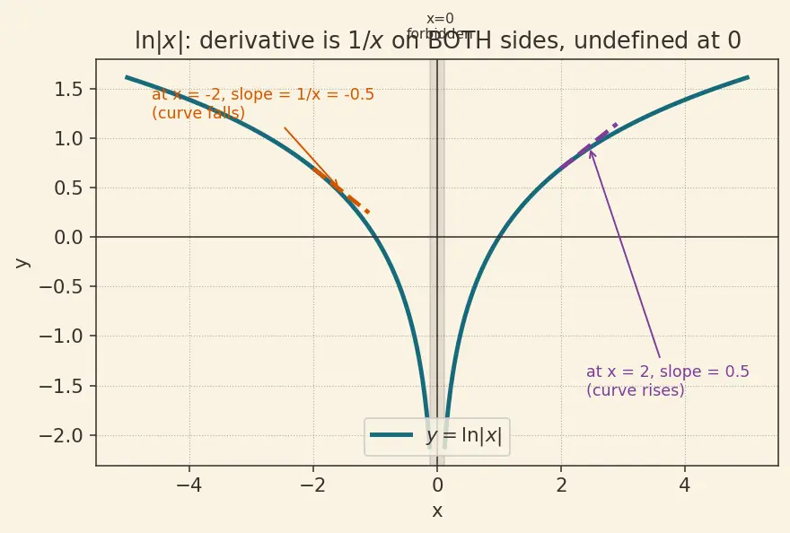 Figure — Derivatives of ln x and logₐ(x)