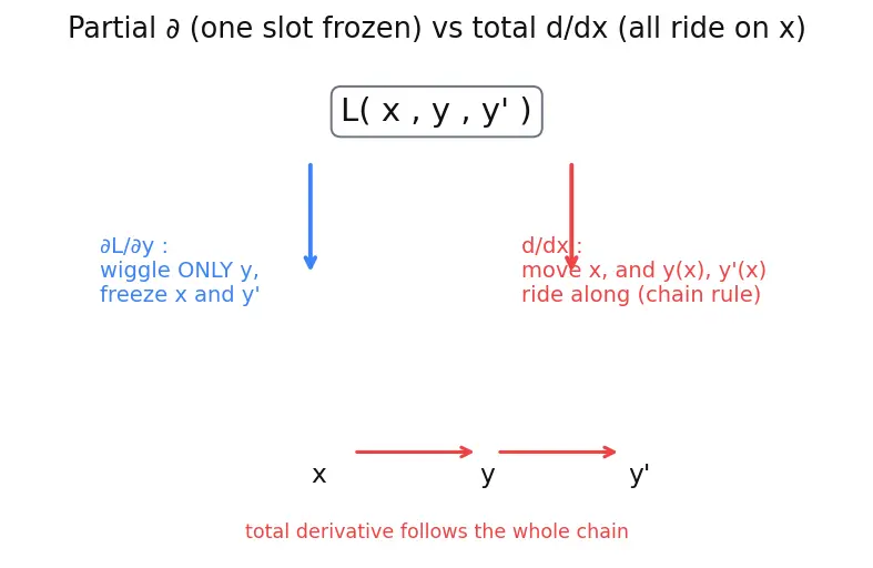 Figure — Calculus of variations — functionals, functional derivative