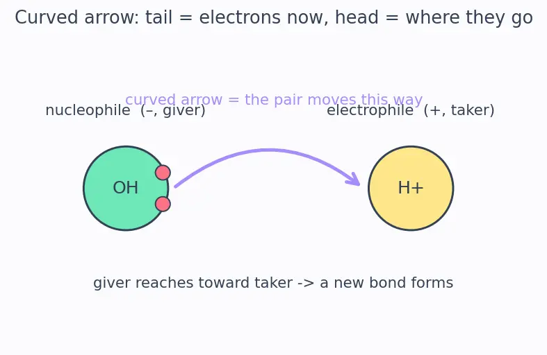 Figure — Alkenes — preparation (dehydration, dehydrohalogenation, Zaitsev's rule), addition reactions