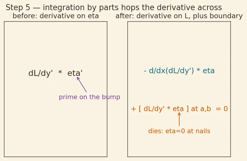 Figure — Calculus of variations — functionals, functional derivative