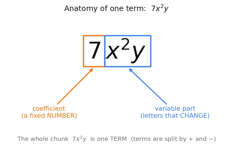 Figure — Variables, constants, coefficients — algebraic expressions