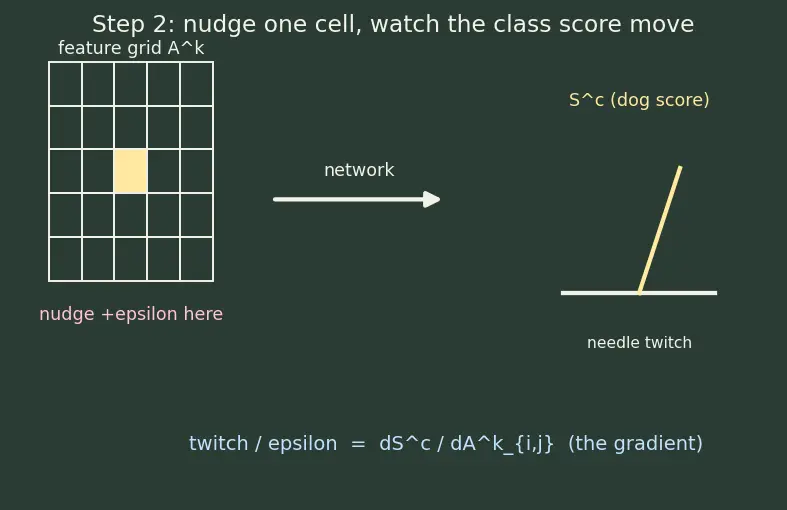 Figure — Saliency maps and Grad-CAM