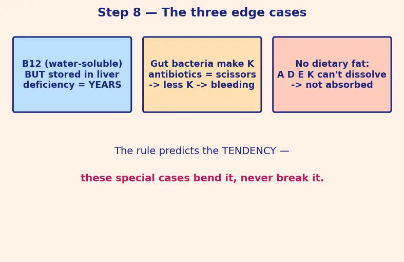 Figure — Vitamins — fat-soluble (A, D, E, K) vs water-soluble (B-complex, C)
