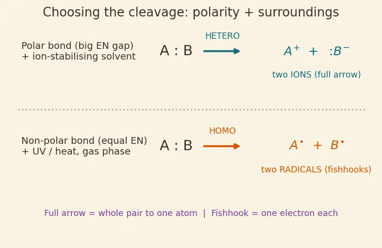 Figure — Reaction mechanisms — curved-arrow notation, bond formation - breaking (heterolysis vs homolysis)