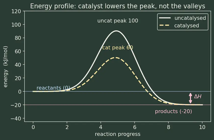 Figure — Catalysis — homogeneous, heterogeneous, enzyme catalysis