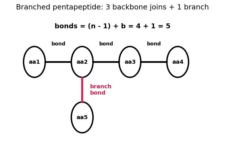 Figure — Peptide bond; primary, secondary, tertiary, quaternary protein structure