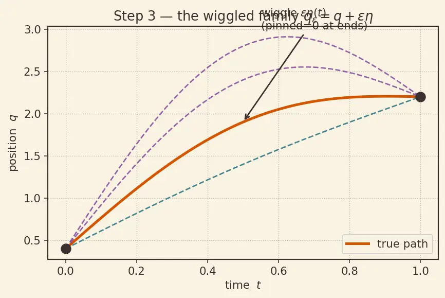 Figure — Principle of least action — Hamilton's principle derivation