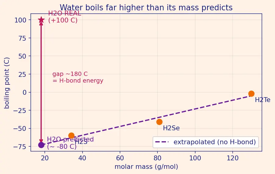 Figure — Hydrogen bonding — intermolecular, intramolecular; consequences (boiling points, water density)
