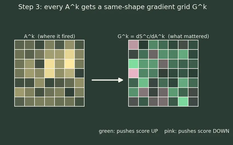 Figure — Saliency maps and Grad-CAM