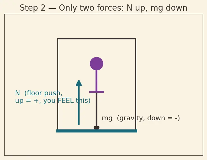Figure — Weightlessness — true (free fall) vs apparent