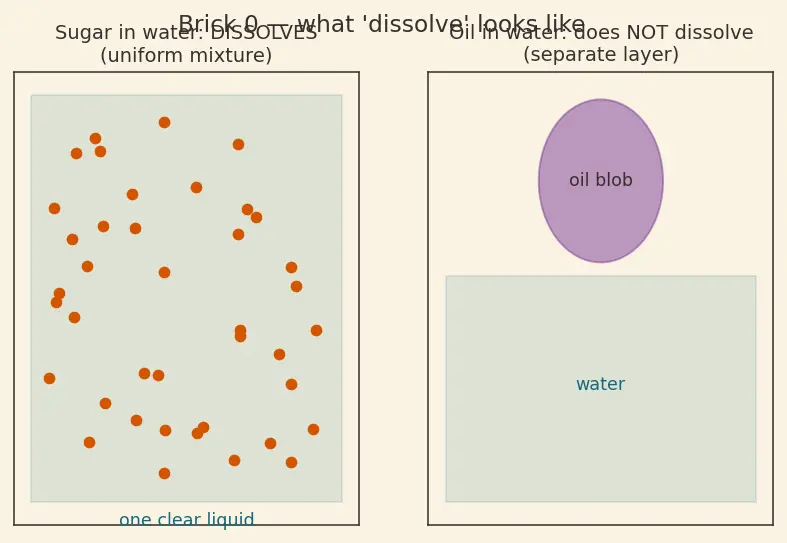 Figure — Hormones — peptide vs steroid (overview)