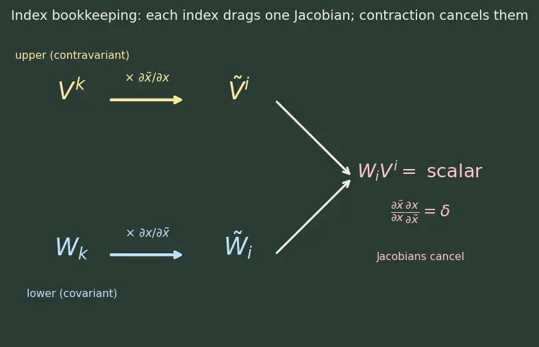 Figure — Tensor analysis — scalars, vectors, rank-2 tensors