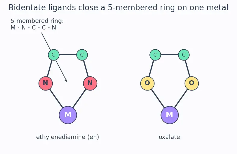 Figure — Ligands — classification (mono, bi, poly, ambidentate, chelating); denticity