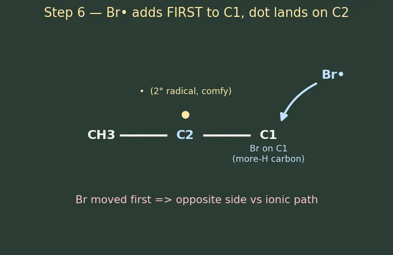Figure — Markovnikov vs anti-Markovnikov (peroxide effect, Kharasch)