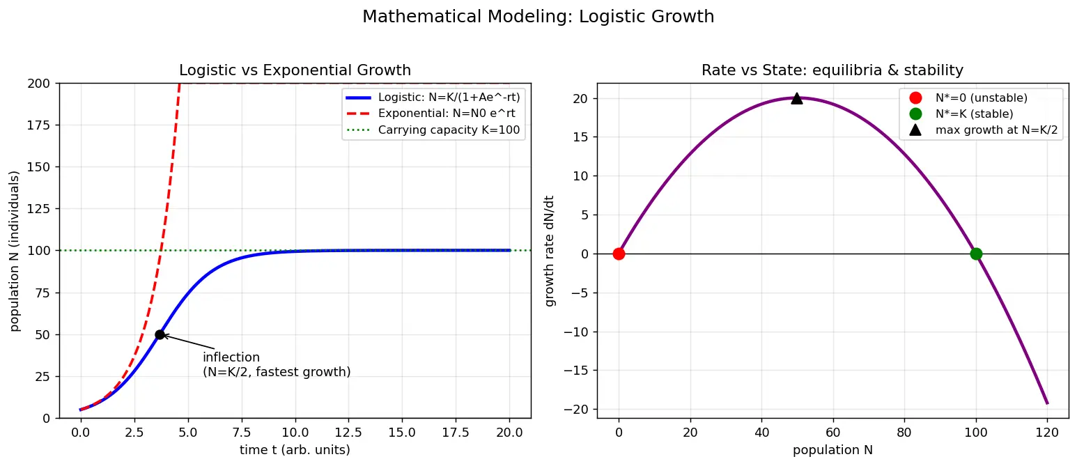Figure — Explain mathematical modeling of biological systems