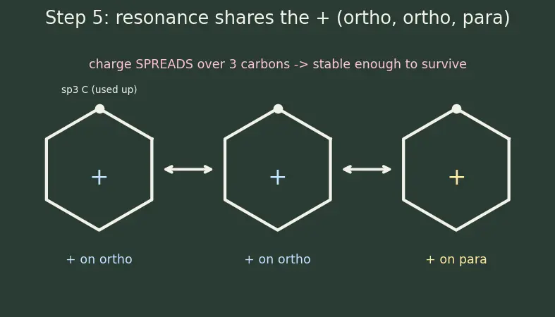 Figure — Electrophilic aromatic substitution (EAS) — nitration, halogenation, sulfonation, Friedel-Crafts alkylation - acylation;