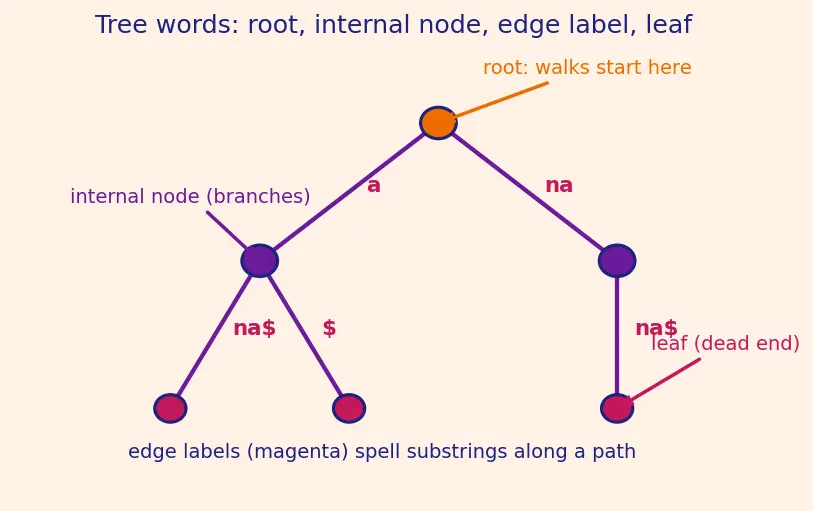 Figure — Suffix tree (conceptual)