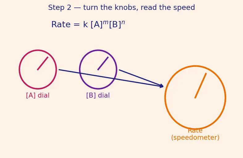 Figure — Rate law — order vs molecularity